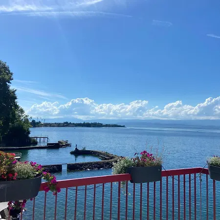 Hotel Des Princes Amphion-les-Bains